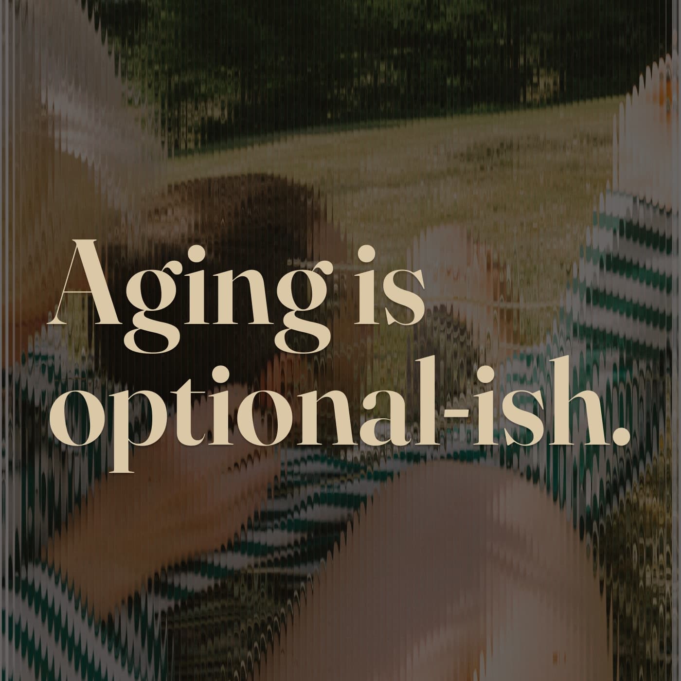 The line “Aging is optional-ish.” over a sunlit scene behind reeded glass